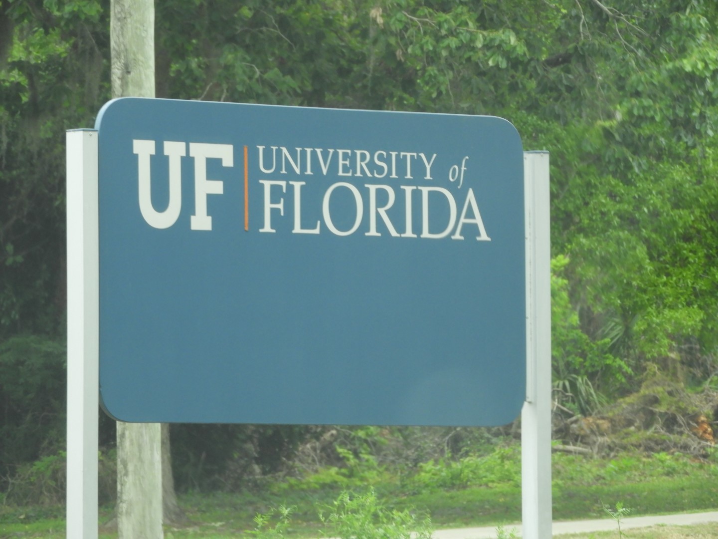 University of Florida in Gainesville FL  4 of  8 (#2721)