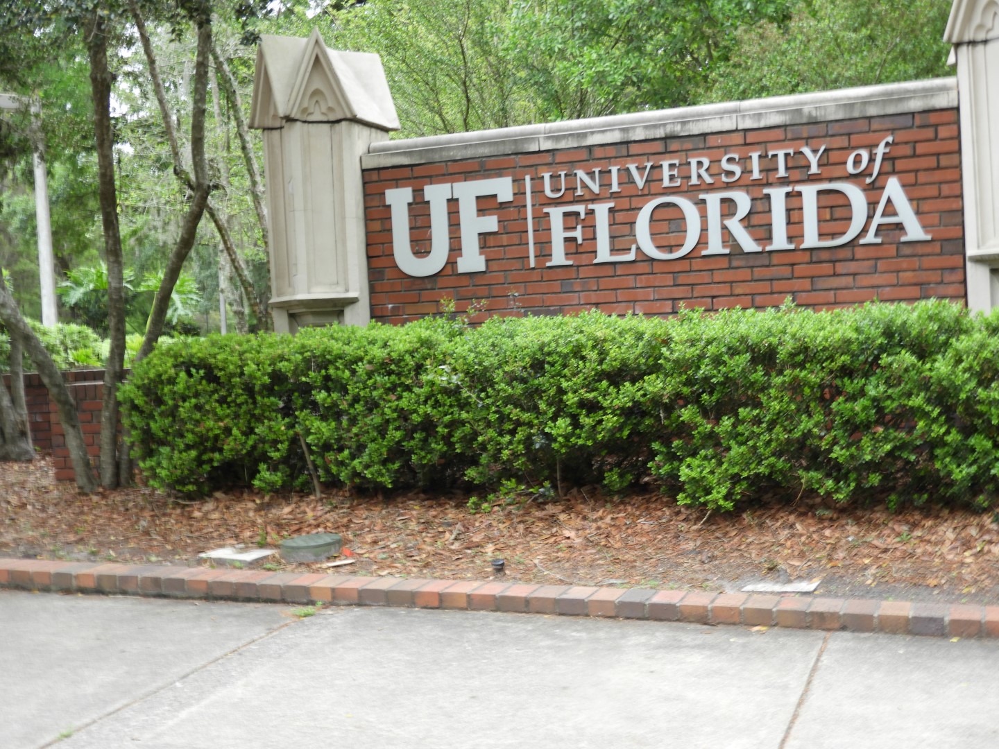 University of Florida in Gainesville FL  5 of  8 (#2722)
