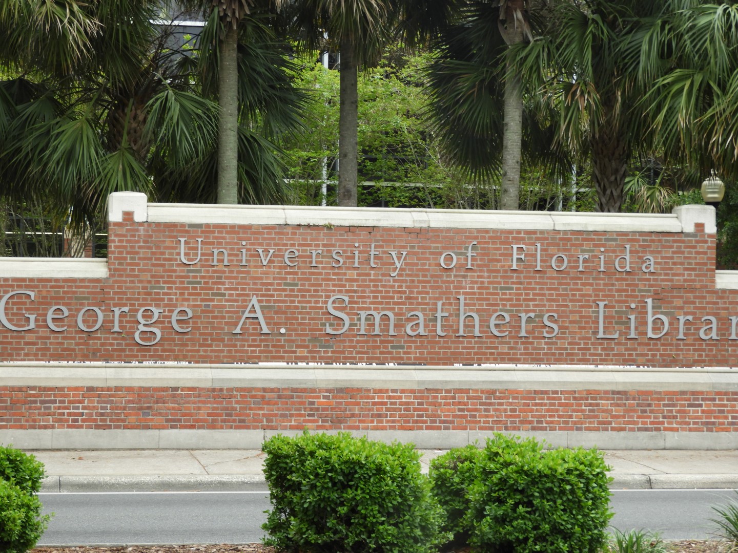 University of Florida in Gainesville FL  6 of  8 (#2724)