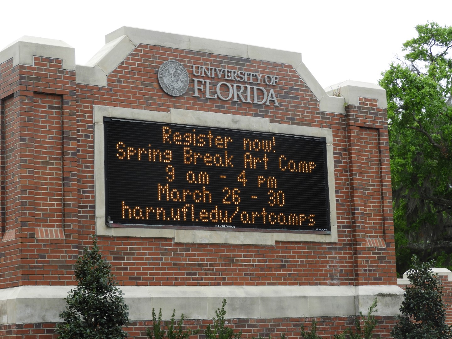 University of Florida in Gainesville FL  7 of  8 (#2725)