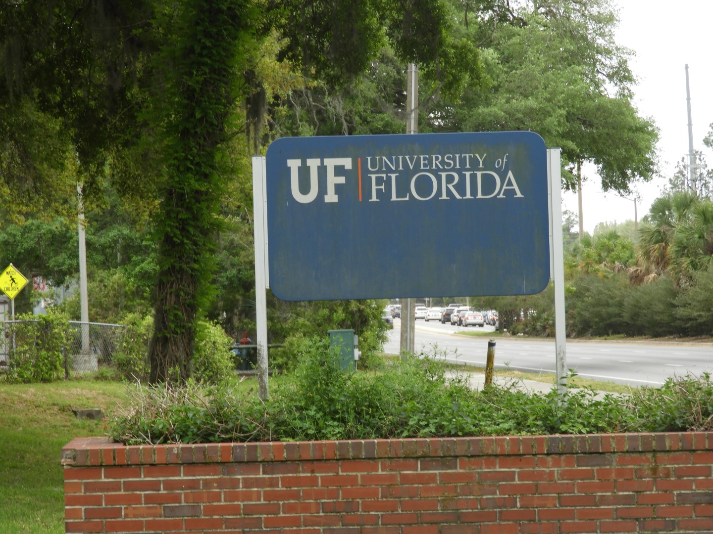 University of Florida in Gainesville FL  8 of  8 (#2727)