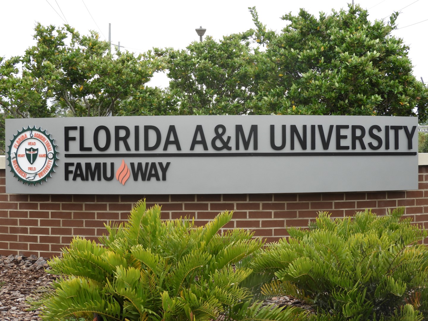 Florida A and M in Tallahassee FL  1 of  2 (#2728)