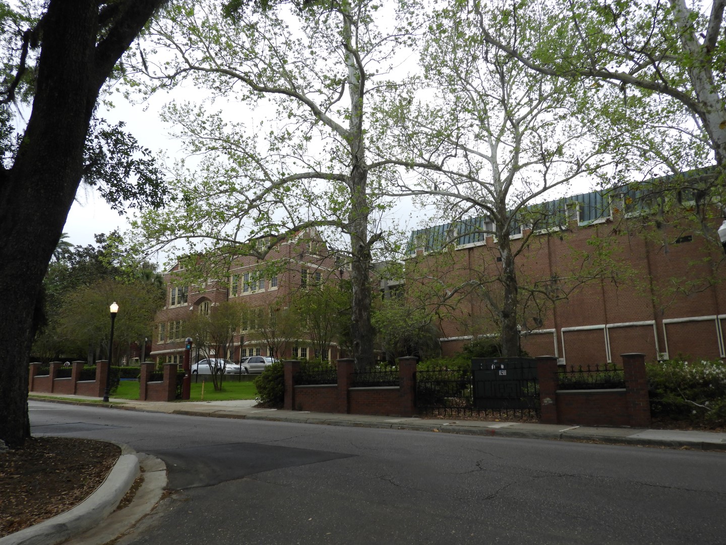 Florida State University in Tallahassee FL  4 of  5 (#2733)