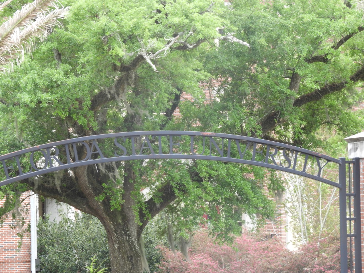 Florida State University in Tallahassee FL  5 of  5 (#2734)