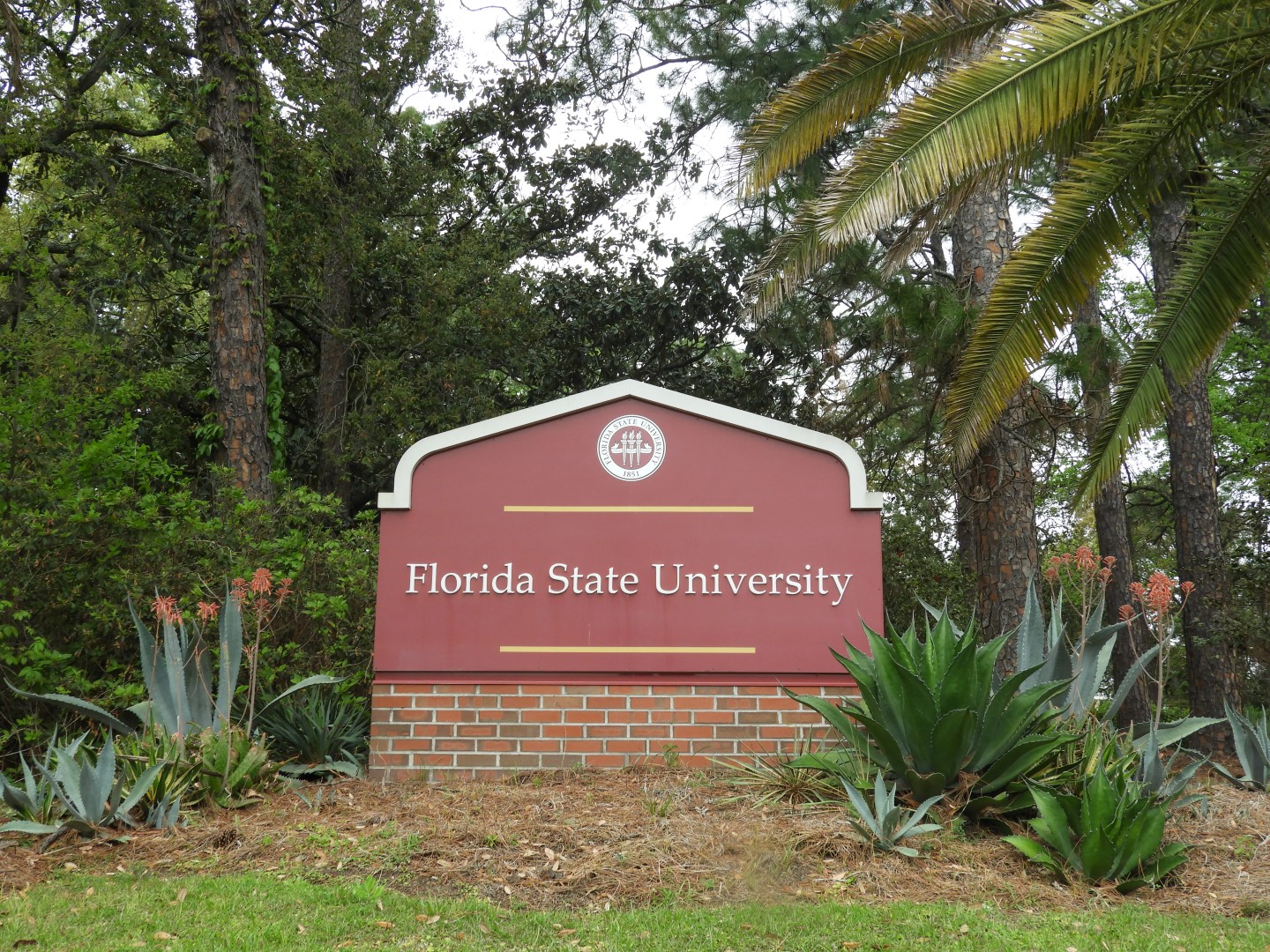 Florida State University in Tallahassee FL  2 of  5 (#2735)