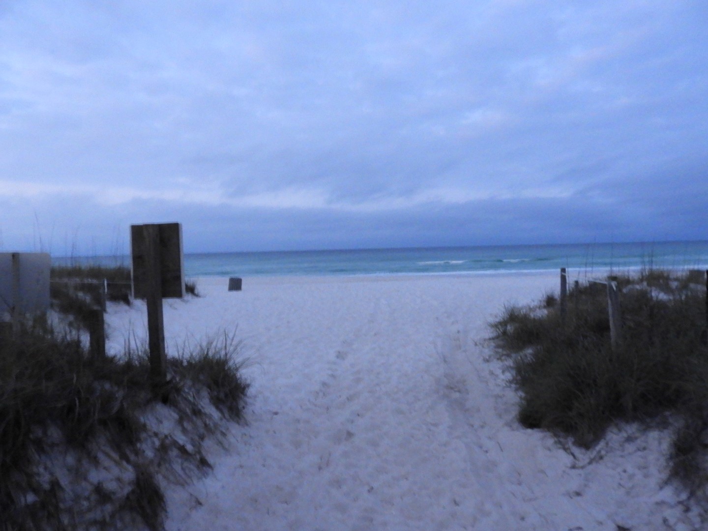 Along the Gulf coast at Panama City Florida  1 of 12 (#2739)