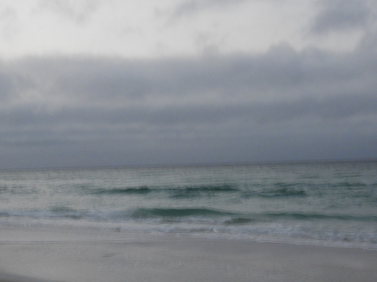 Along the Gulf coast at Panama City Florida  7 of 12 (#2745)