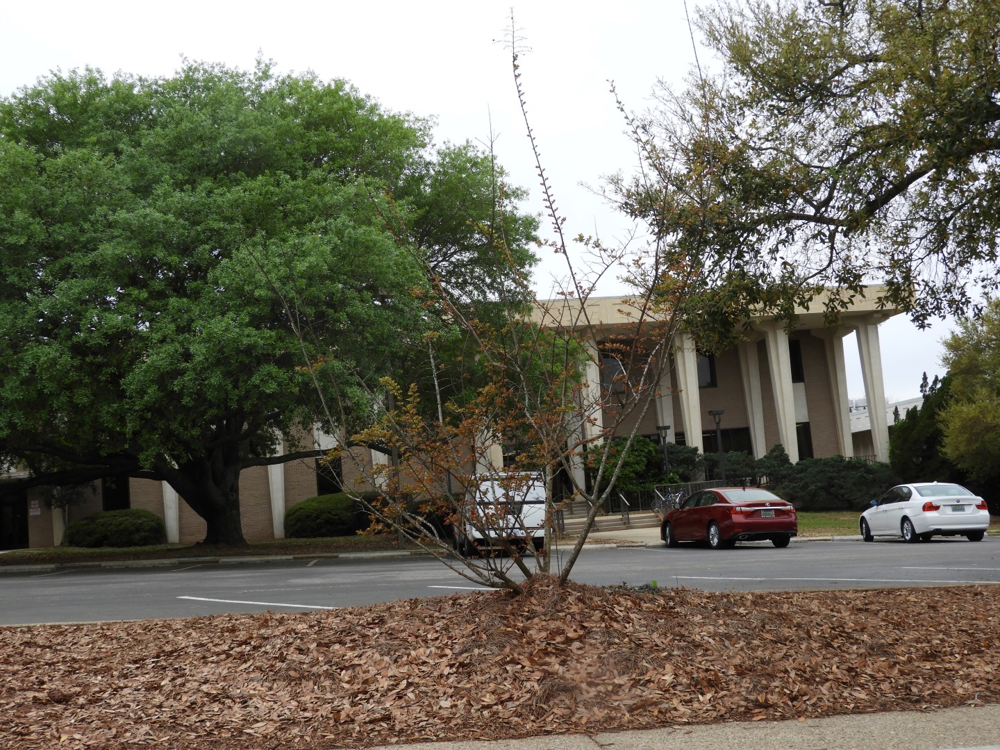 University of South Alabama in Mobile AL  7 of 12 (#2760)