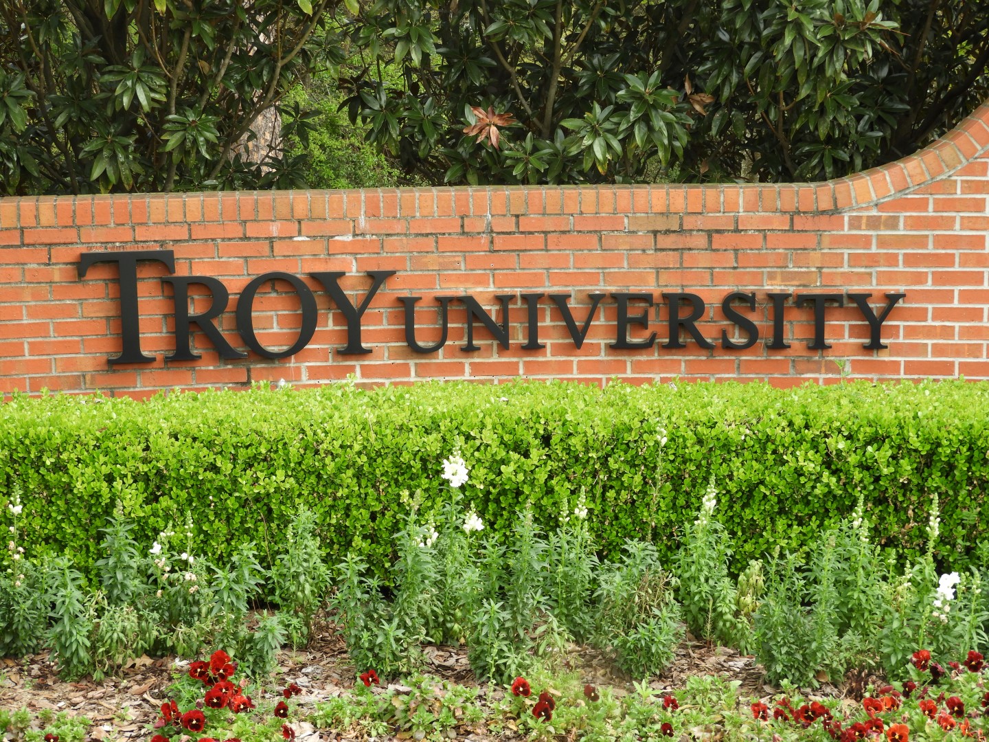 Troy University in Troy AL  1 of  5 (#2768)