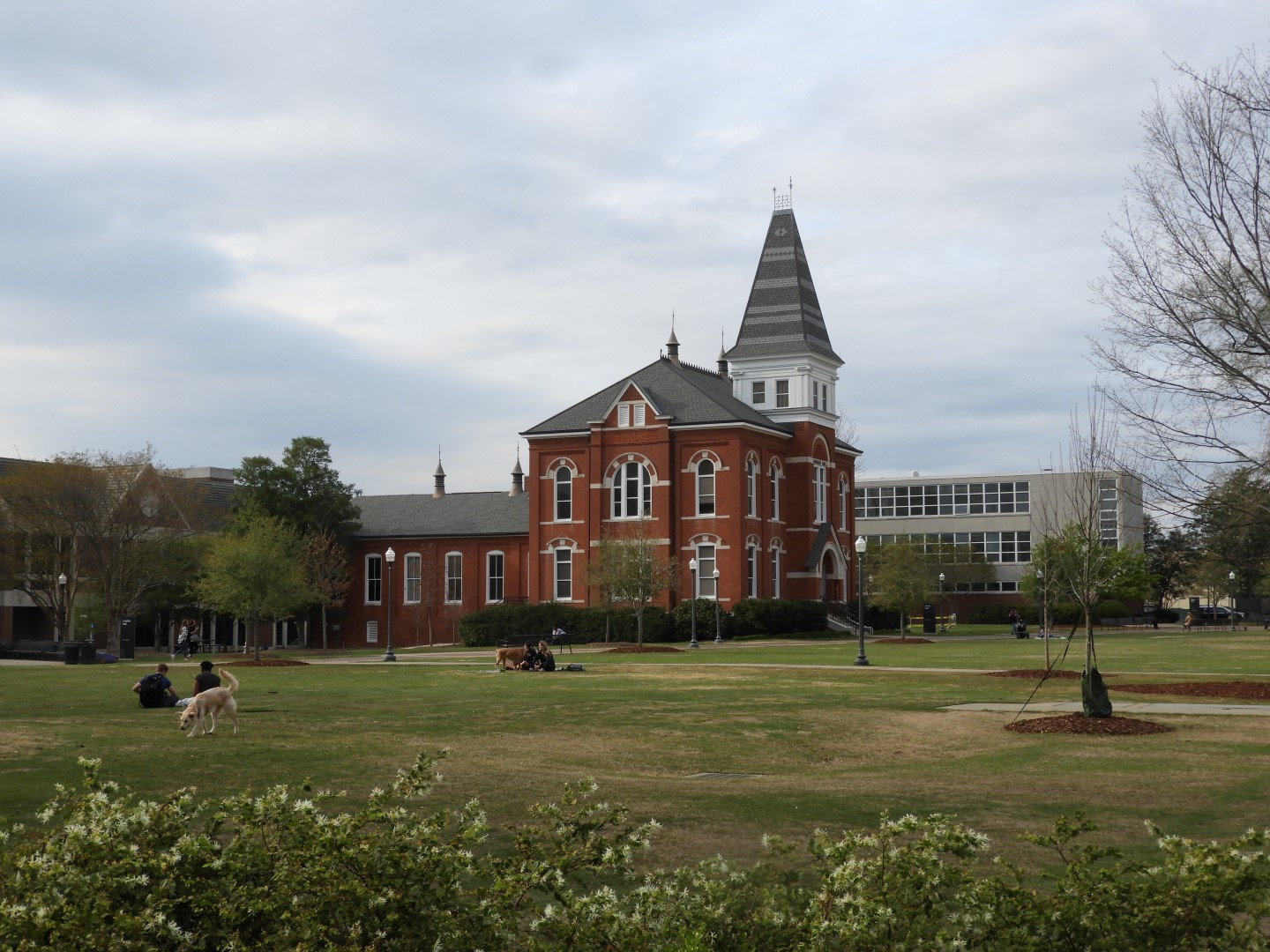 Auburn University in Auburn Alabama  3 of  5 (#2786)
