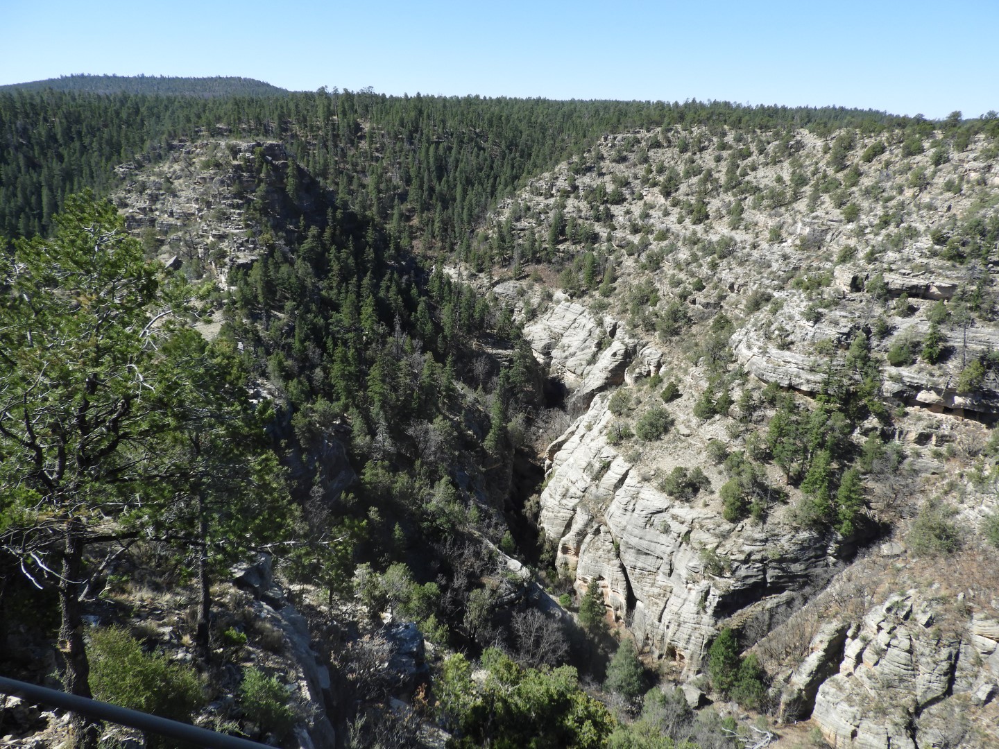 Walnut Canyon National Monument near Flagstaff AZ  4 of 16 (#2874)