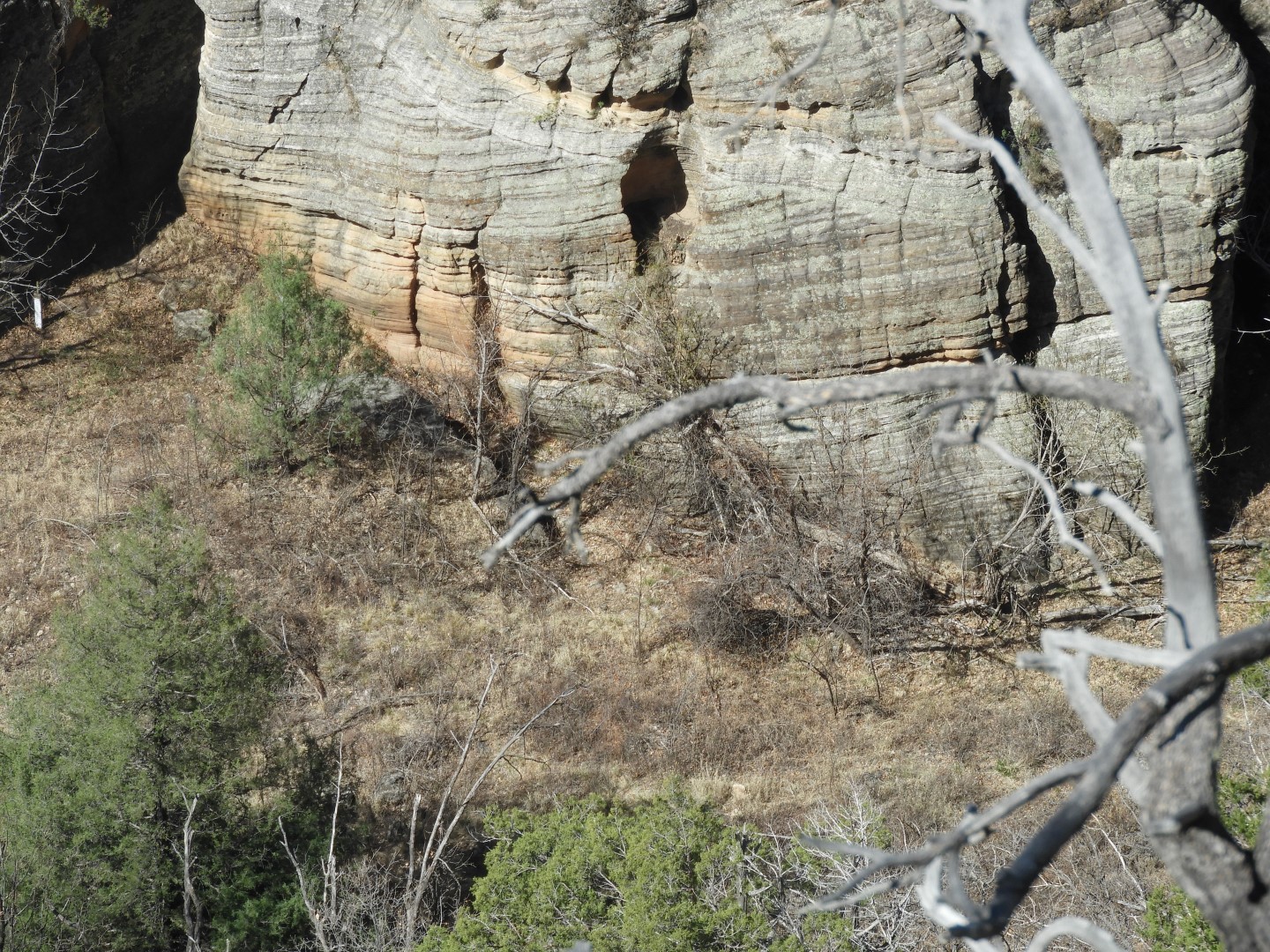 Walnut Canyon National Monument near Flagstaff AZ  7 of 16 (#2877)