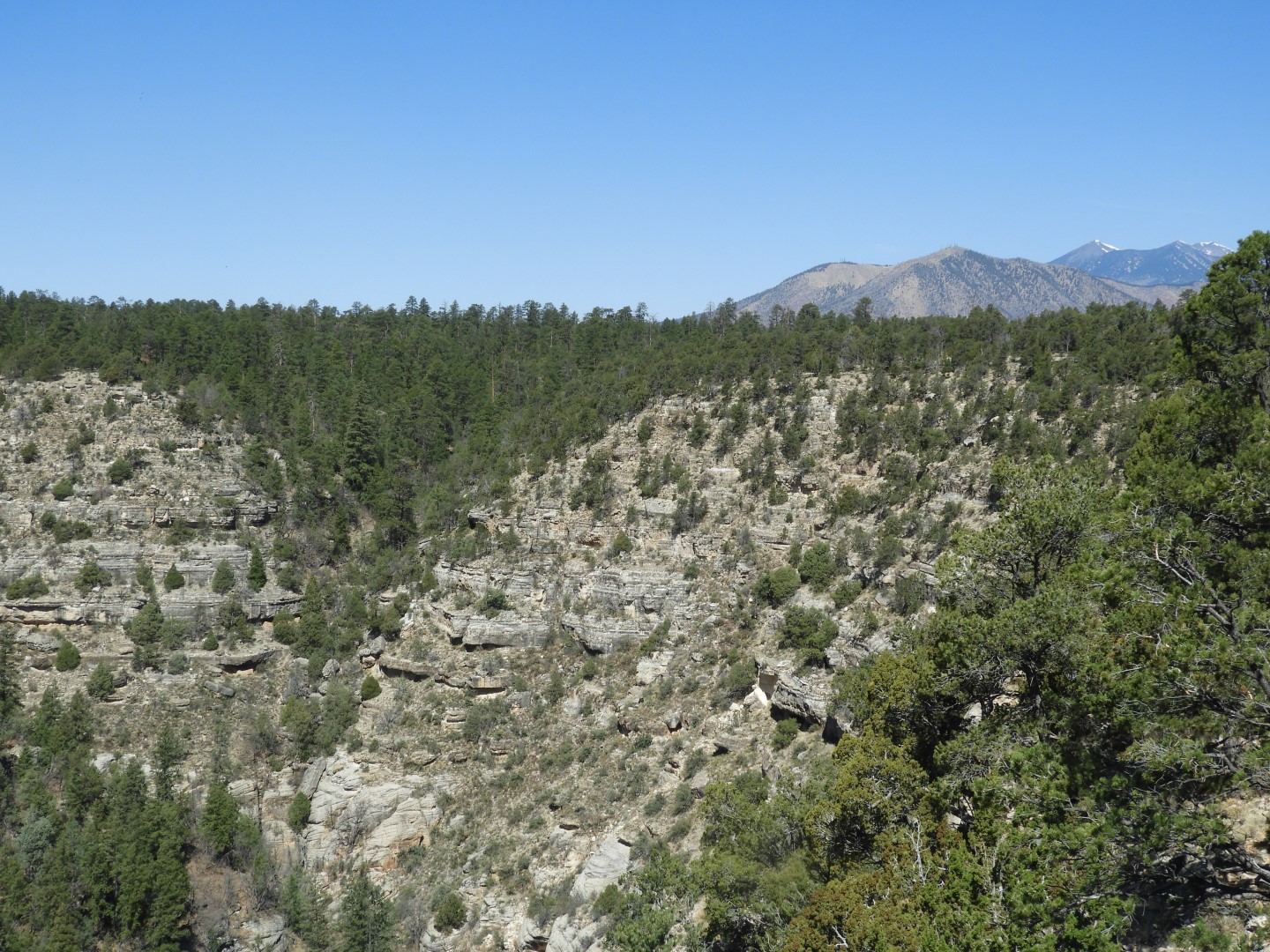 Walnut Canyon National Monument near Flagstaff AZ  9 of 16 (#2879)