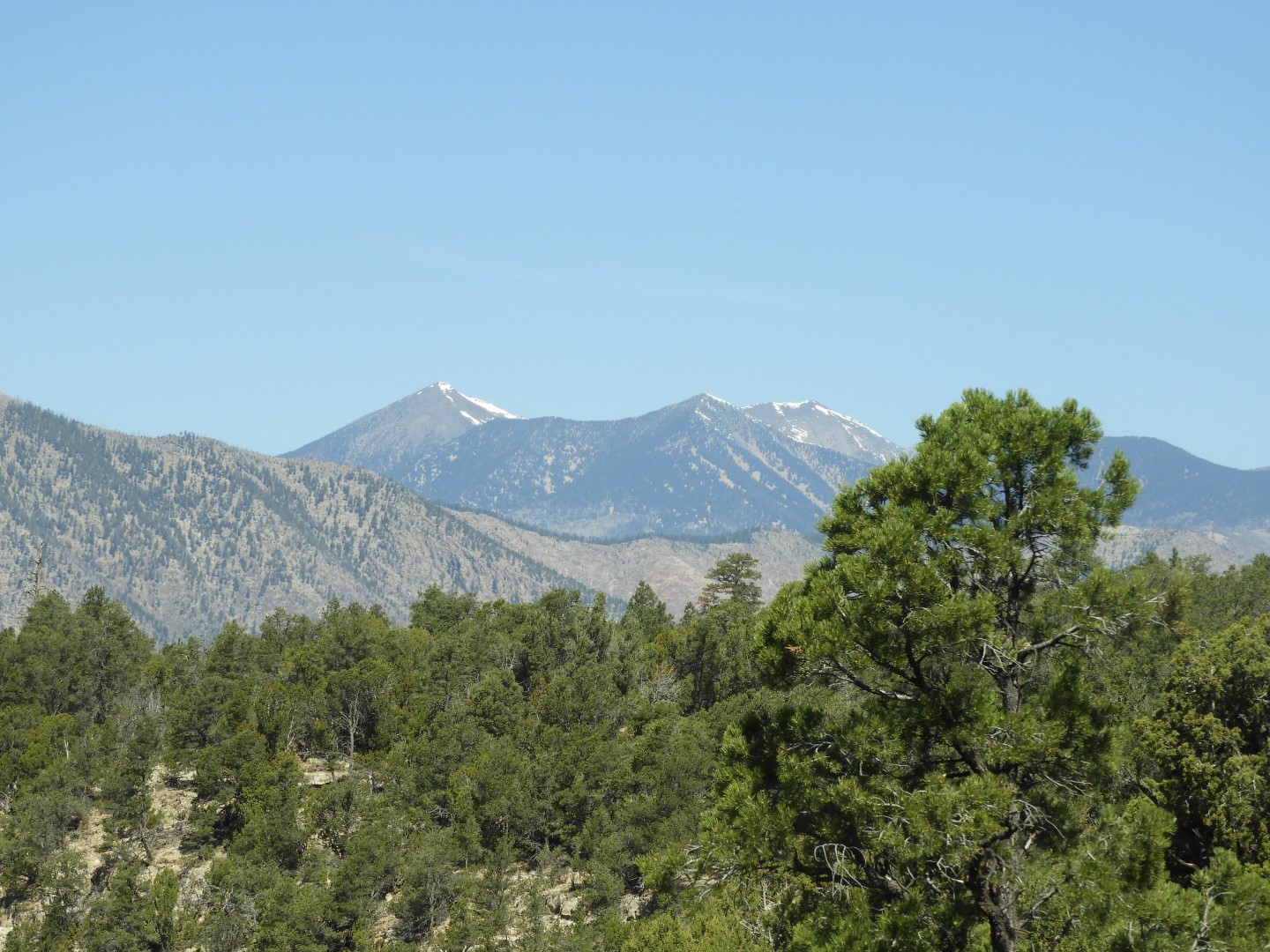 Walnut Canyon National Monument near Flagstaff AZ 10 of 16 (#2880)