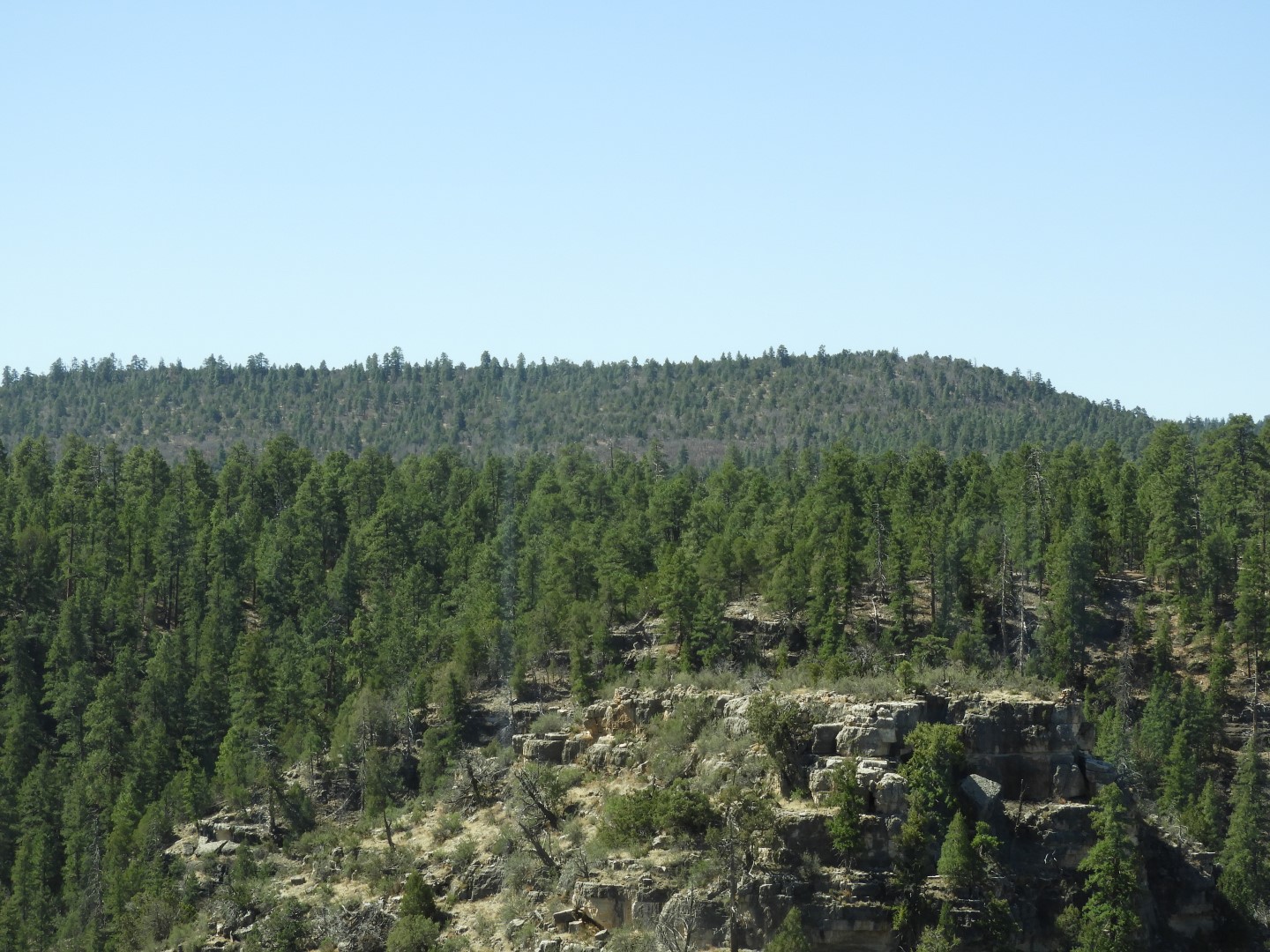 Walnut Canyon National Monument near Flagstaff AZ 12 of 16 (#2882)