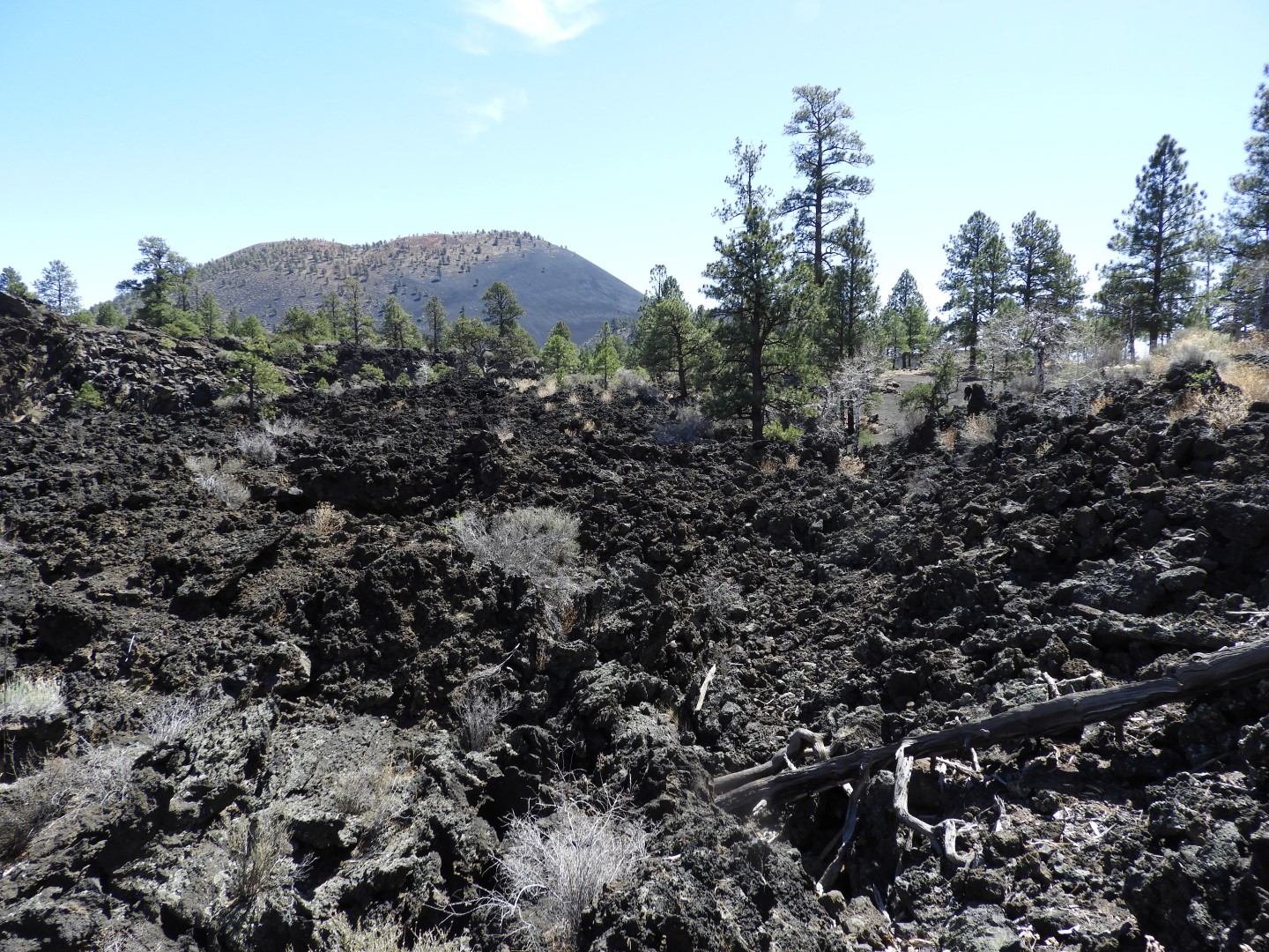 Sunset Crater Volcano National Monument near Flagstaff AZ  8 of 28 (#2894)