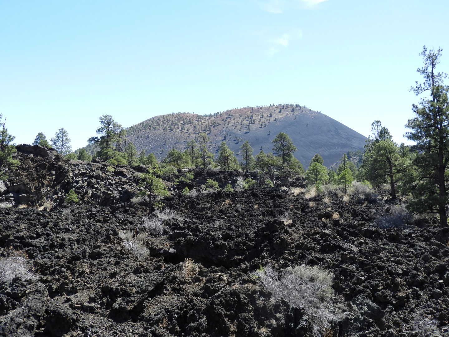 Sunset Crater Volcano National Monument near Flagstaff AZ  9 of 28 (#2895)