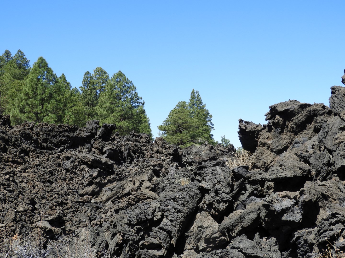 Sunset Crater Volcano National Monument near Flagstaff AZ 11 of 28 (#2897)
