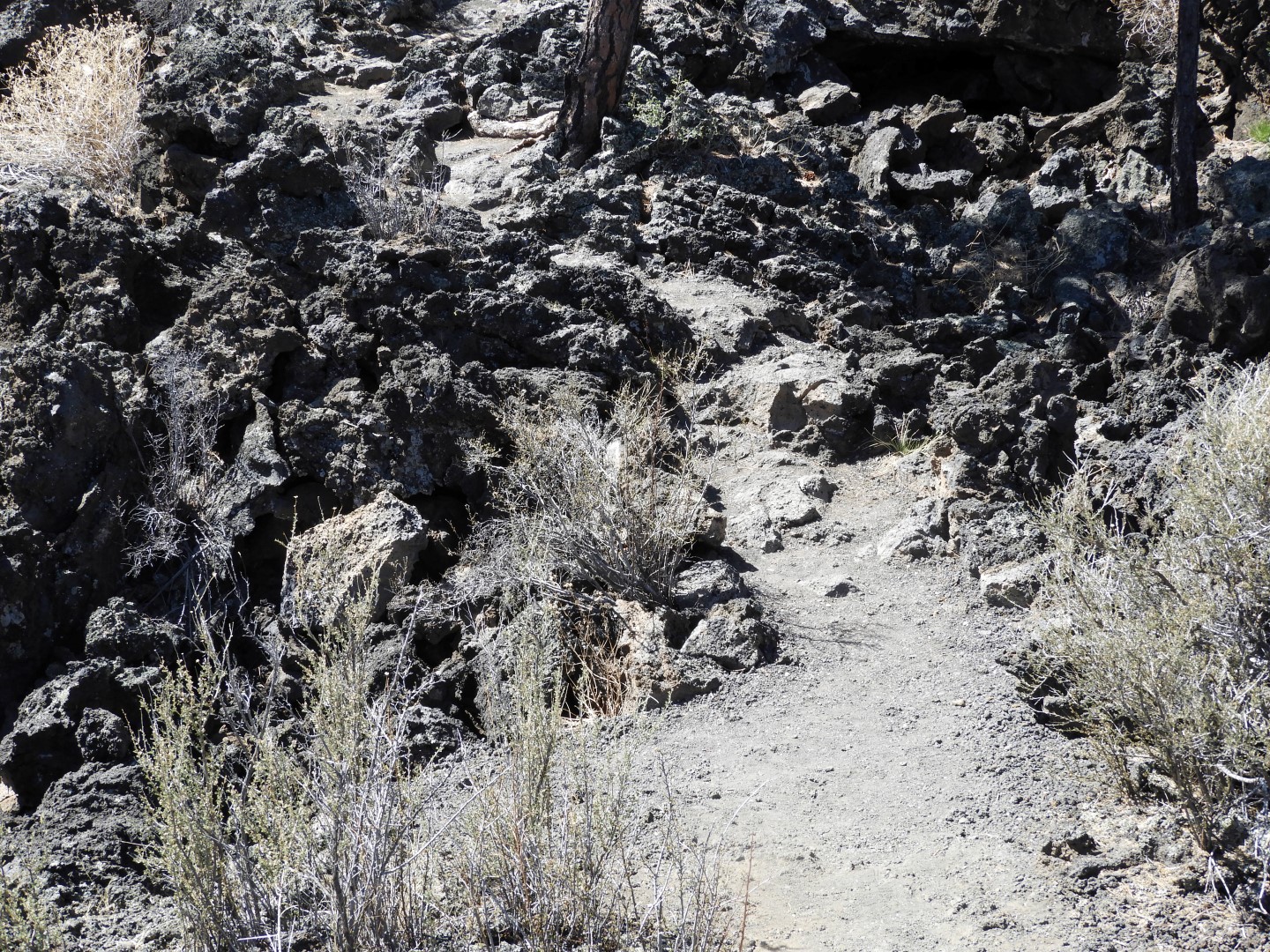 Sunset Crater Volcano National Monument near Flagstaff AZ 13 of 28 (#2899)