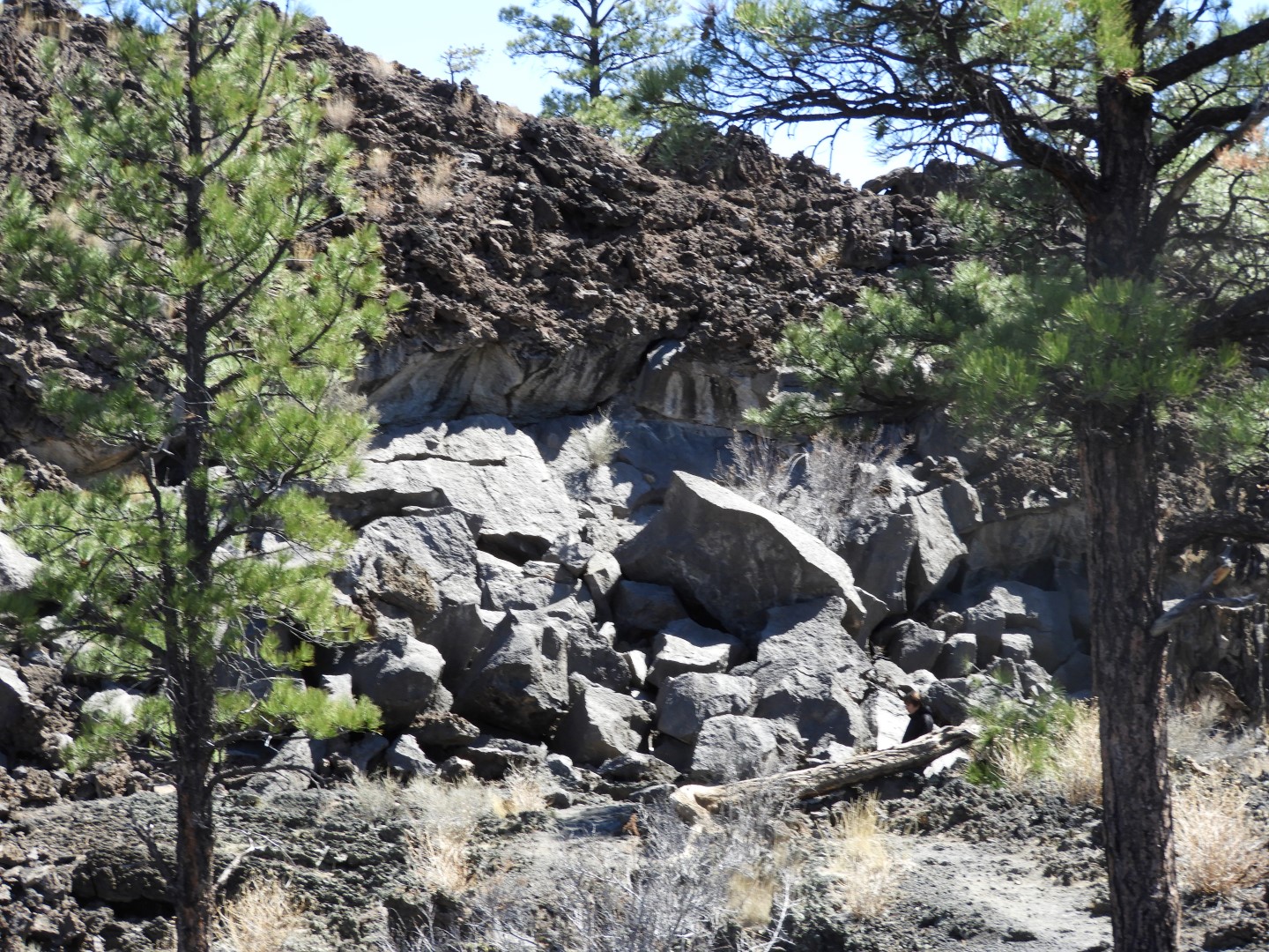 Sunset Crater Volcano National Monument near Flagstaff AZ 14 of 28 (#2900)