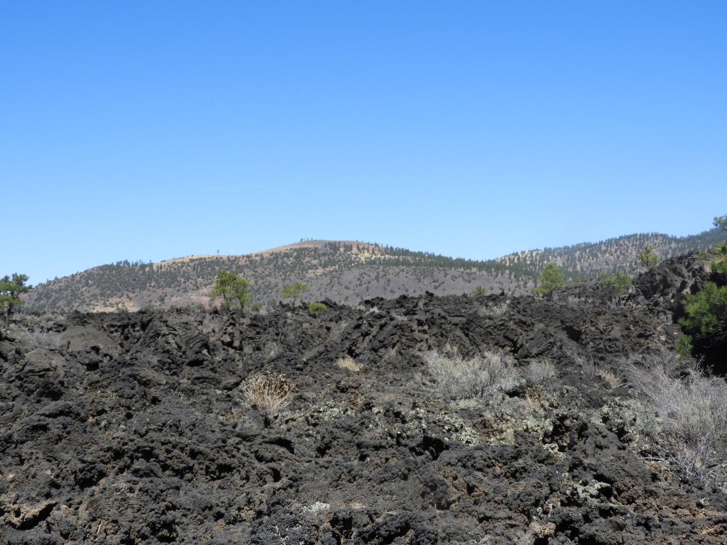 Sunset Crater Volcano National Monument near Flagstaff AZ 15 of 28 (#2901)