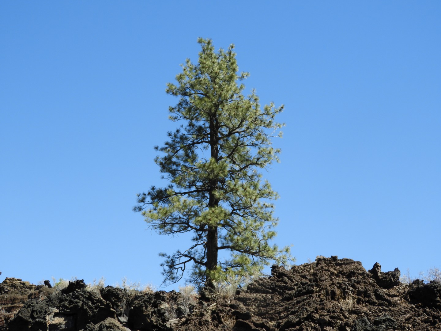Sunset Crater Volcano National Monument near Flagstaff AZ 17 of 28 (#2903)