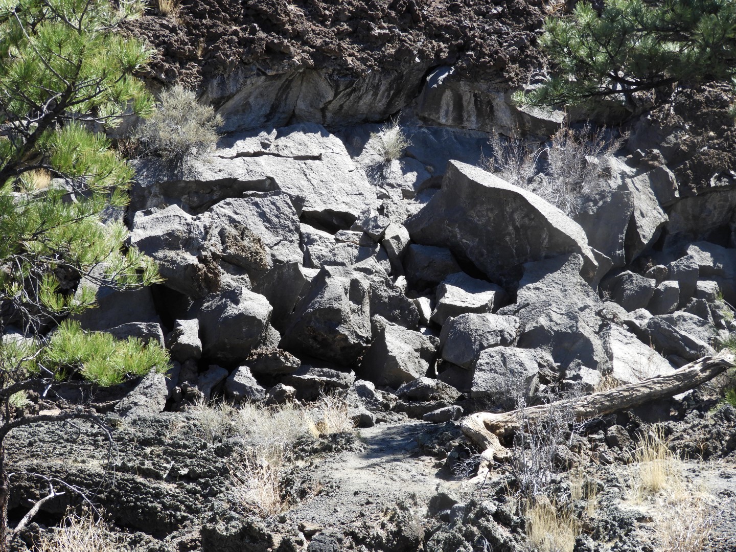 Sunset Crater Volcano National Monument near Flagstaff AZ 18 of 28 (#2904)