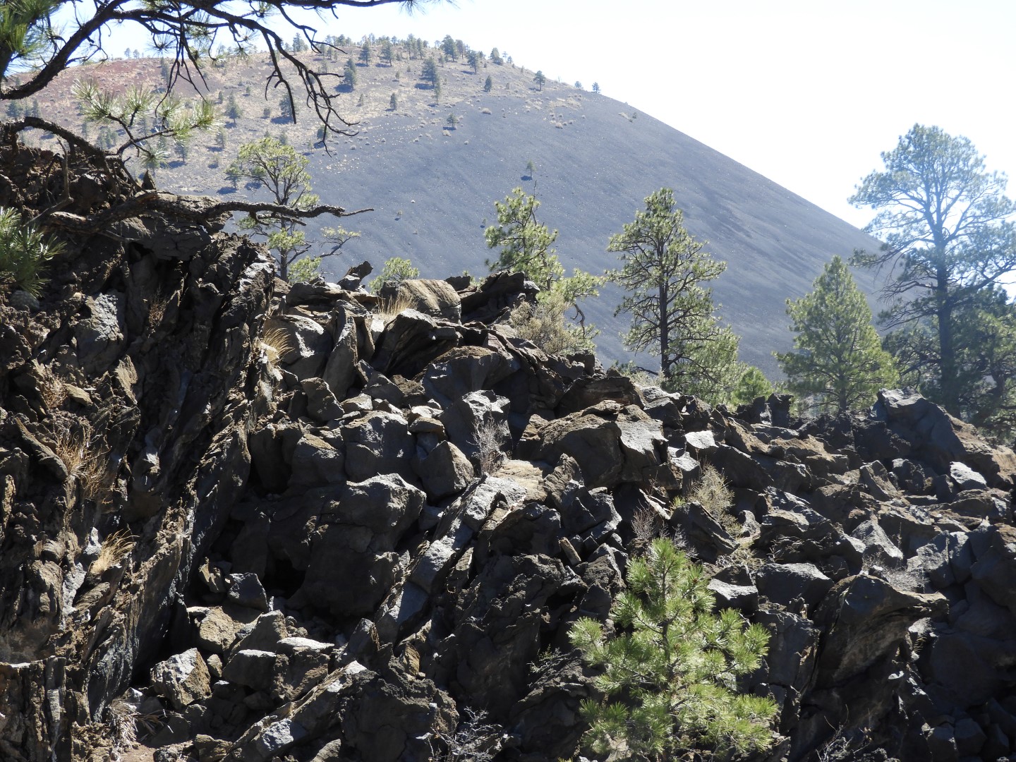 Sunset Crater Volcano National Monument near Flagstaff AZ 19 of 28 (#2905)