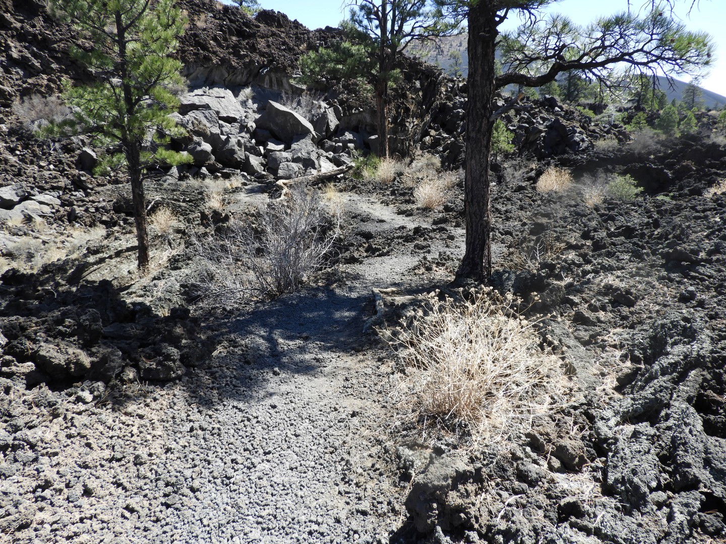 Sunset Crater Volcano National Monument near Flagstaff AZ 21 of 28 (#2907)