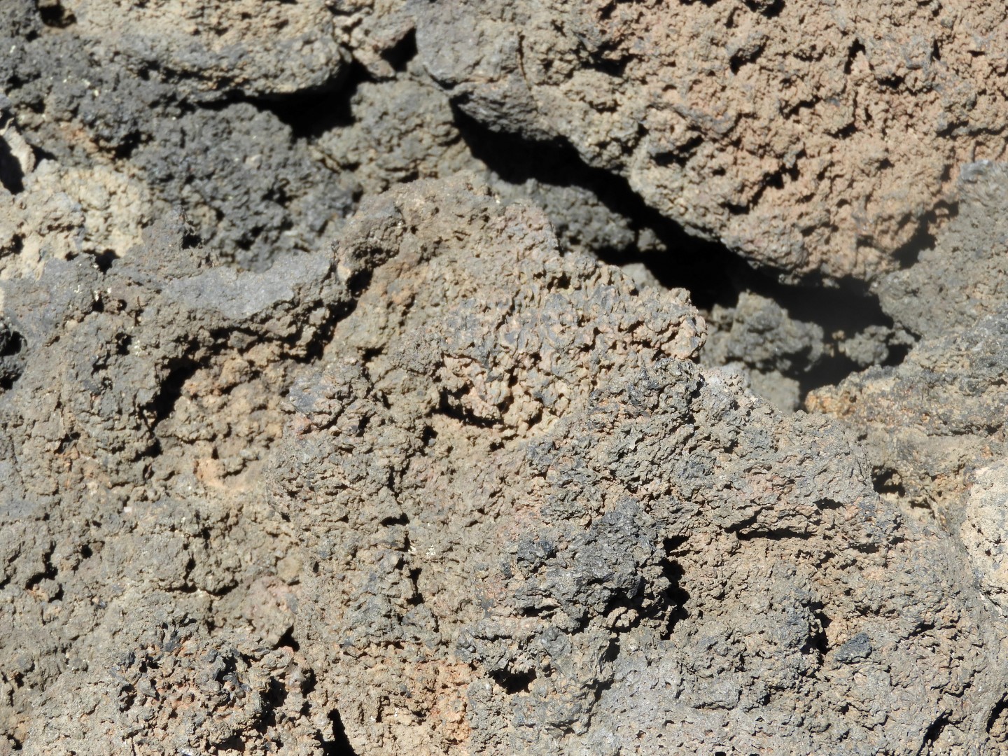 Sunset Crater Volcano National Monument near Flagstaff AZ 23 of 28 (#2909)