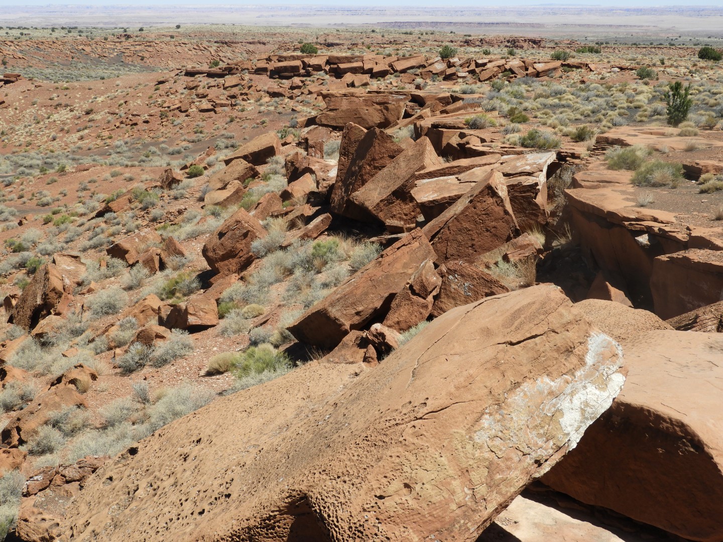 Wupatki National Monument near Flagstaff AZ 14 of 15 (#2926)