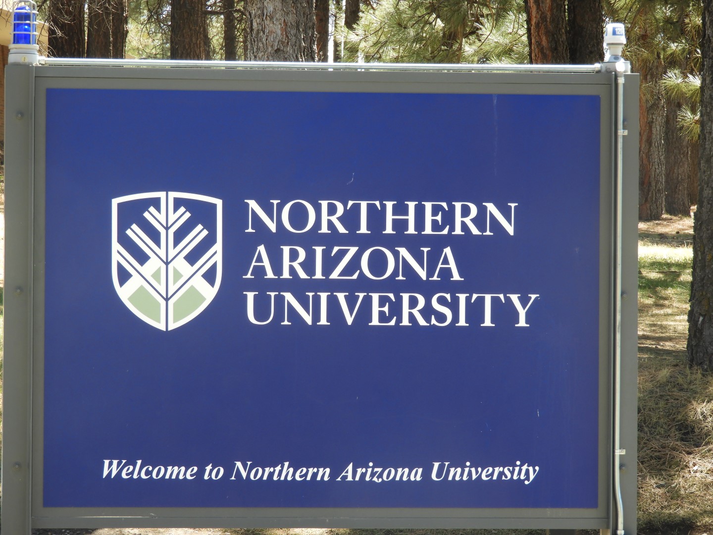 Northern Arizona University in Flagstaff AZ  1 of  4 (#2938)