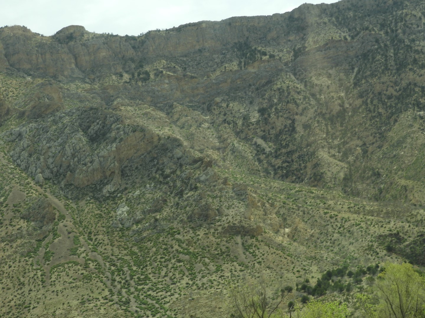 Sites along I-17 between Cedar City UT and Las Vegas  1 of  2 (#2981)