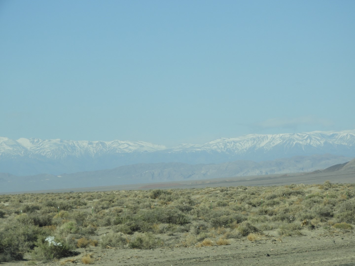 Along highway between Tonopah and Hawthorne  4 of 17 (#3071)