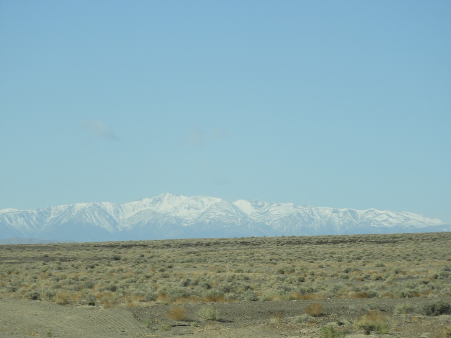 Along highway between Tonopah and Hawthorne  8 of 17 (#3077)