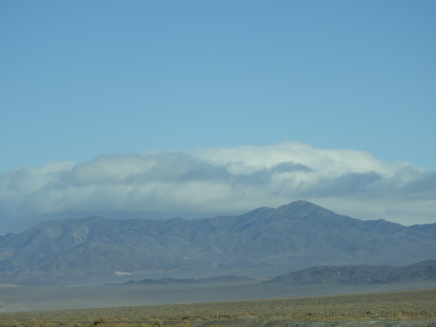 Along highway near Hawthorne  3 of  5 (#3089)