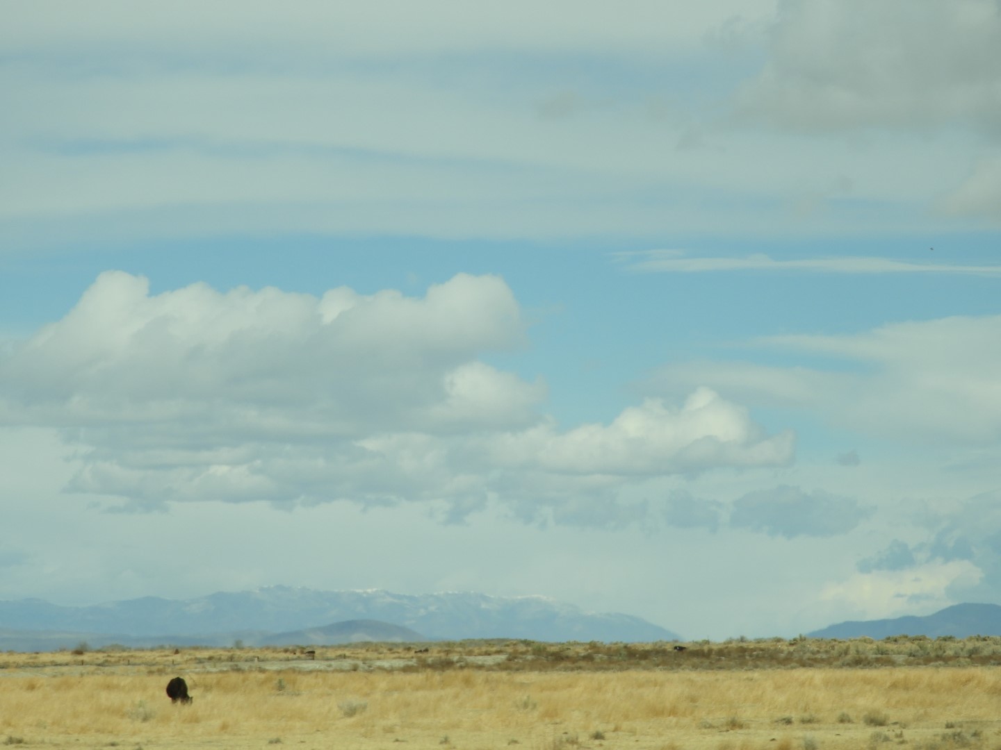 Along highway southeast of Reno 13 of 17 (#3133)