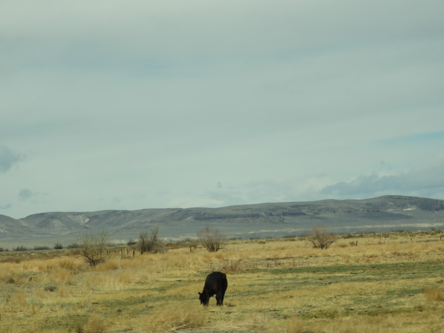 Along highway southeast of Reno 14 of 17 (#3135)