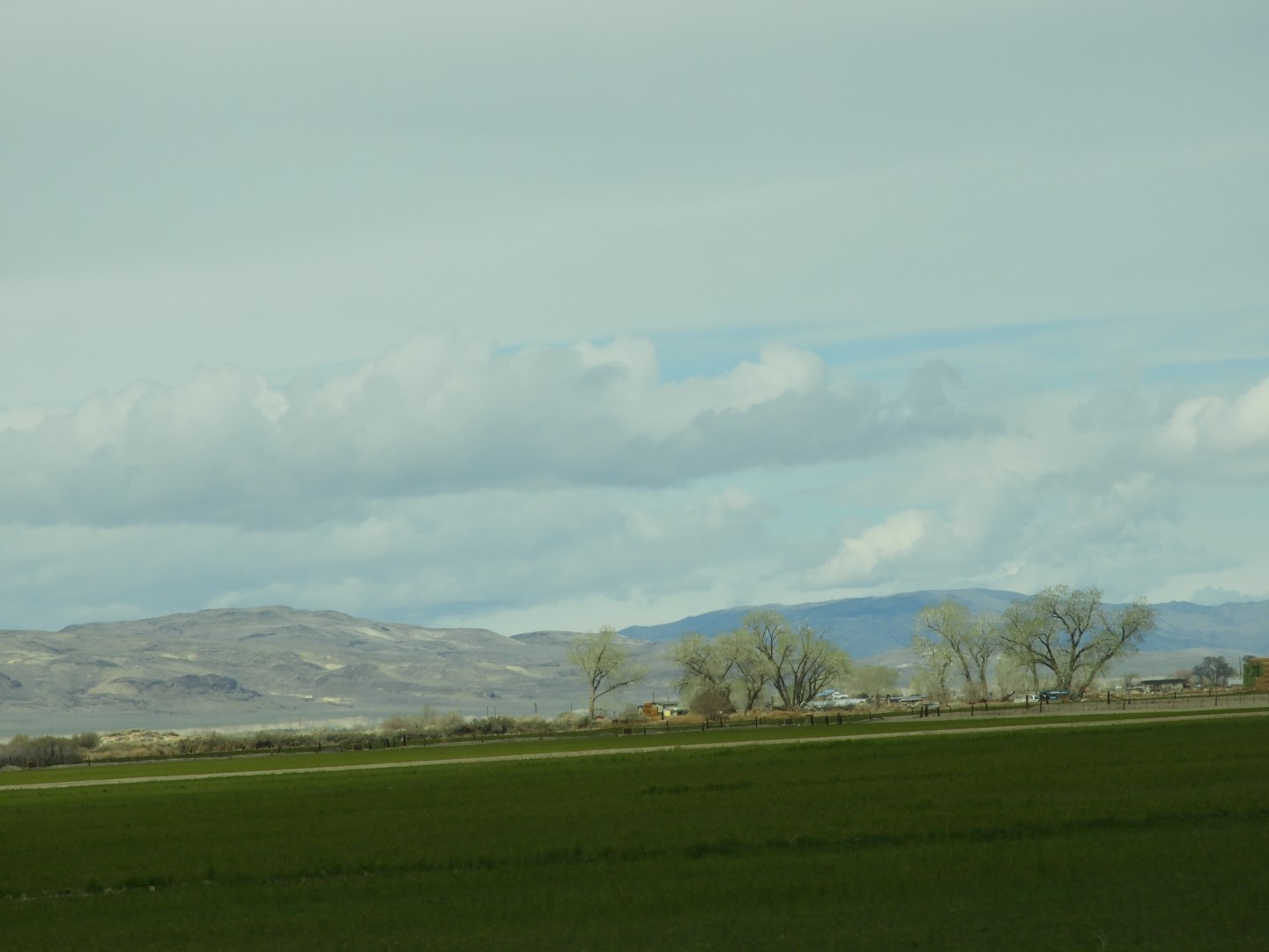Along highway southeast of Reno 16 of 17 (#3137)