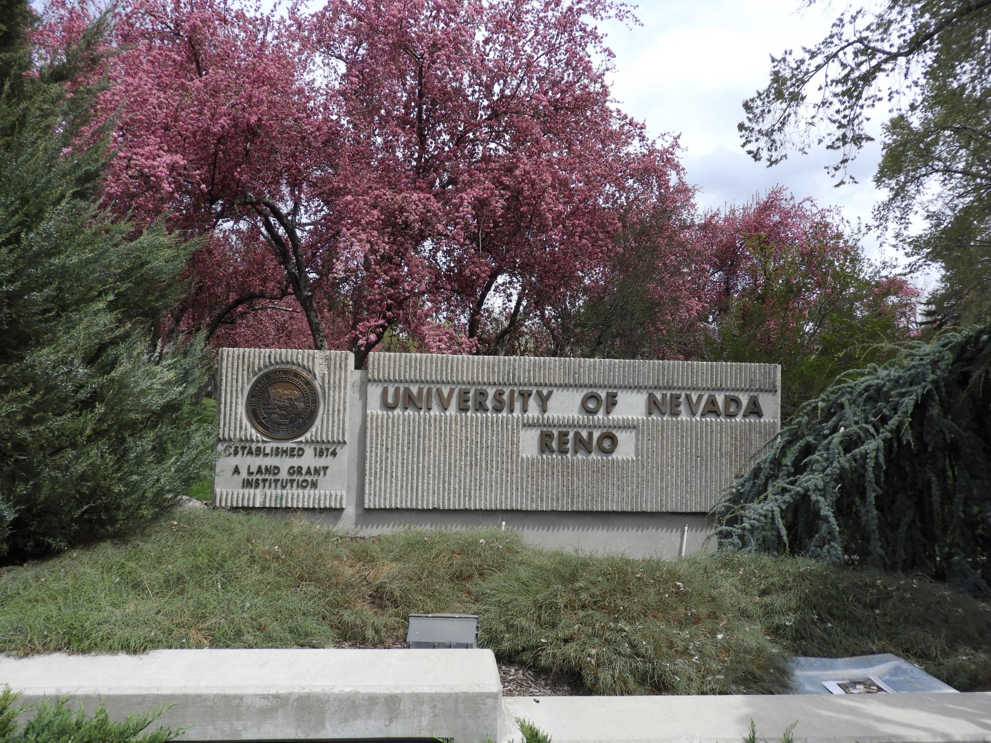 University of Nevada in Reno  2 of  3 (#3142)
