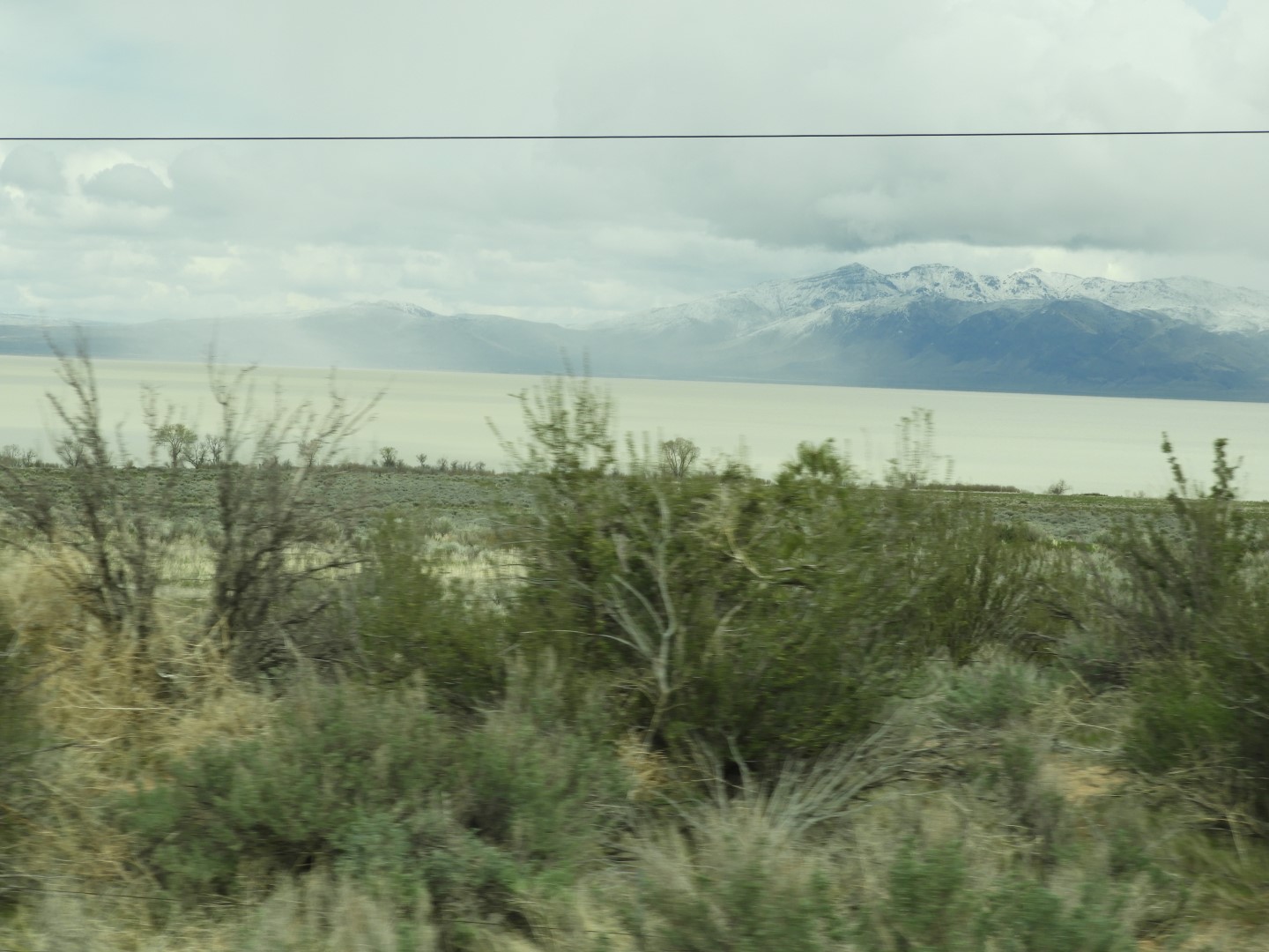 Along highway 95 heading north to Susanville  3 of 28 (#3146)