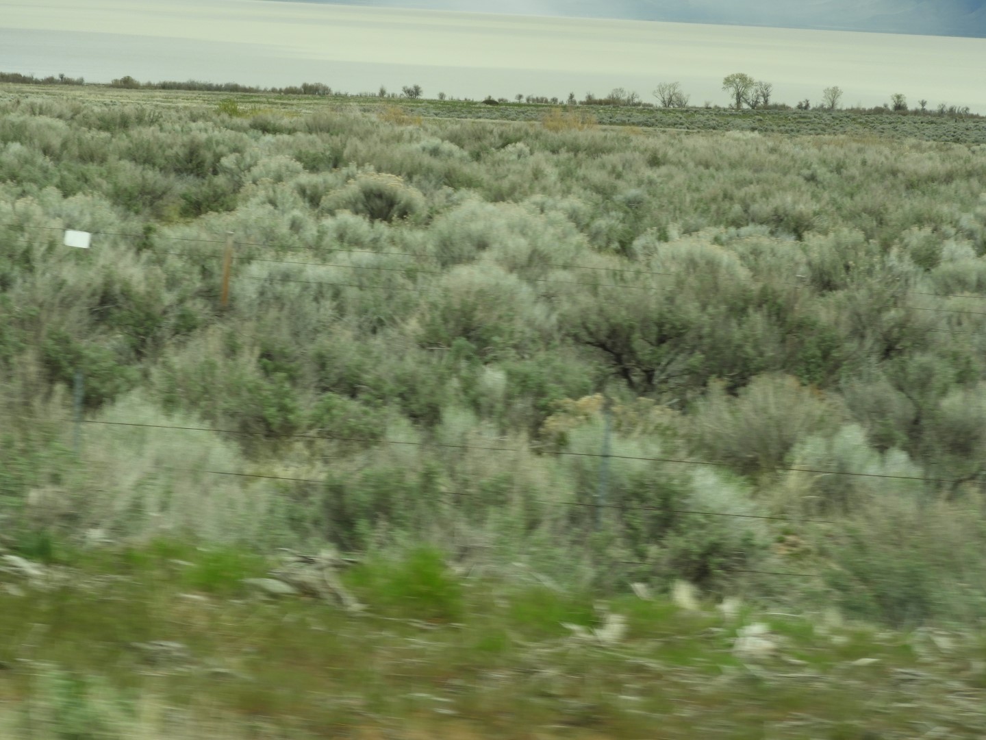 Along highway 95 heading north to Susanville  7 of 28 (#3150)