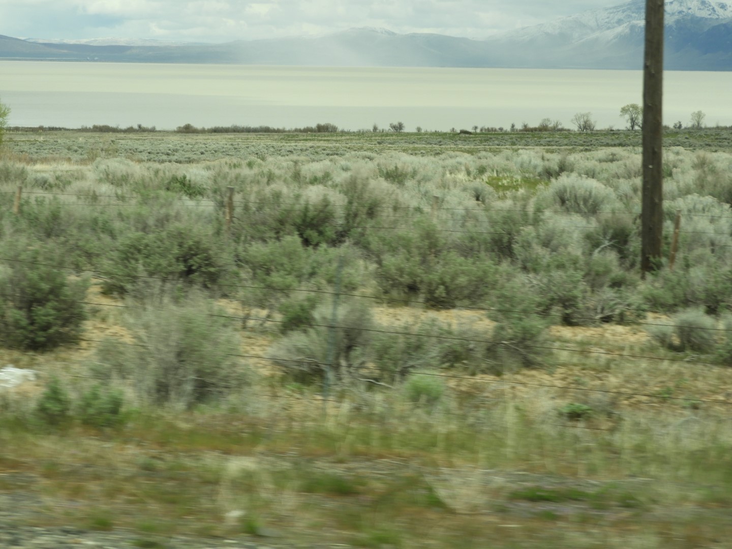 Along highway 95 heading north to Susanville  9 of 28 (#3152)