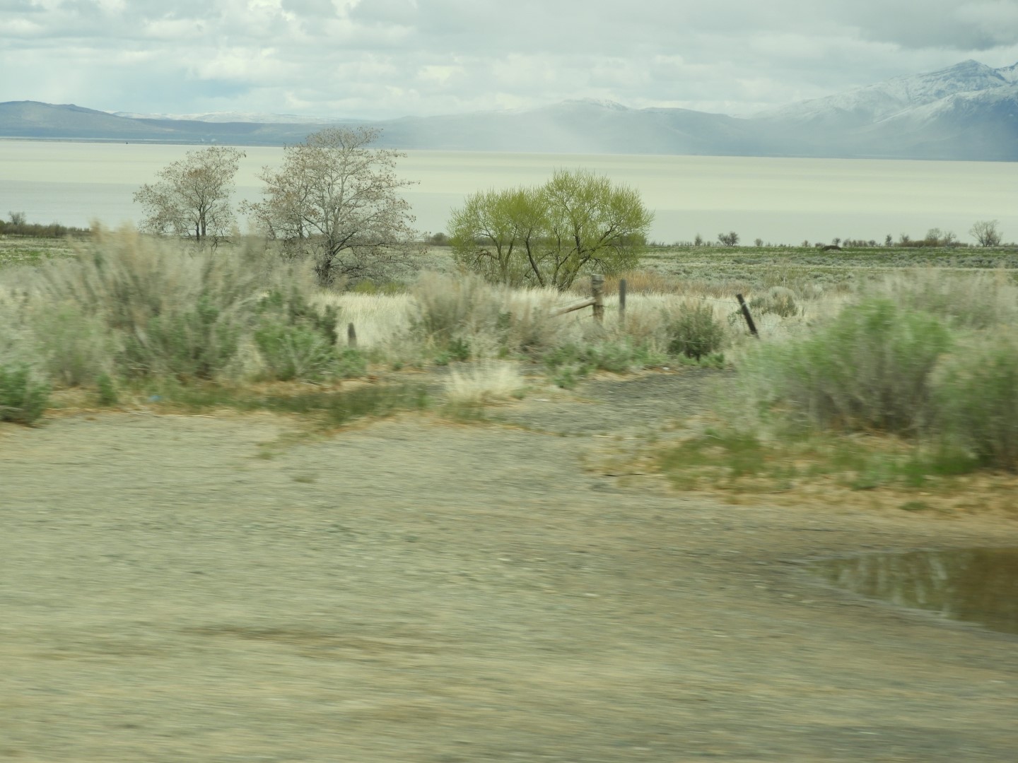 Along highway 95 heading north to Susanville 10 of 28 (#3153)