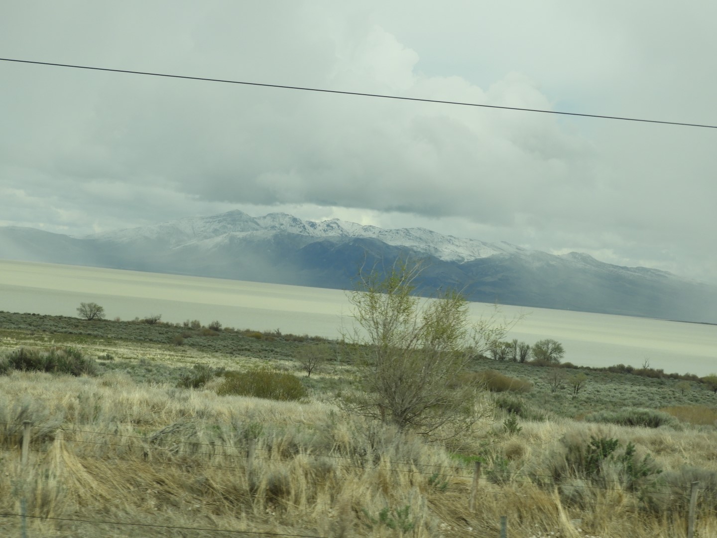 Along highway 95 heading north to Susanville 13 of 28 (#3156)