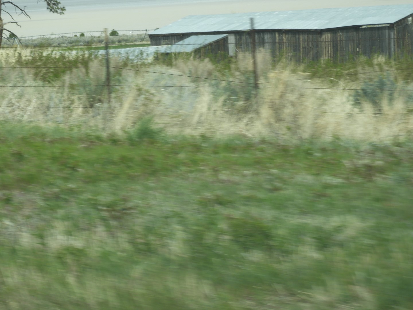 Along highway 95 heading north to Susanville 16 of 28 (#3160)