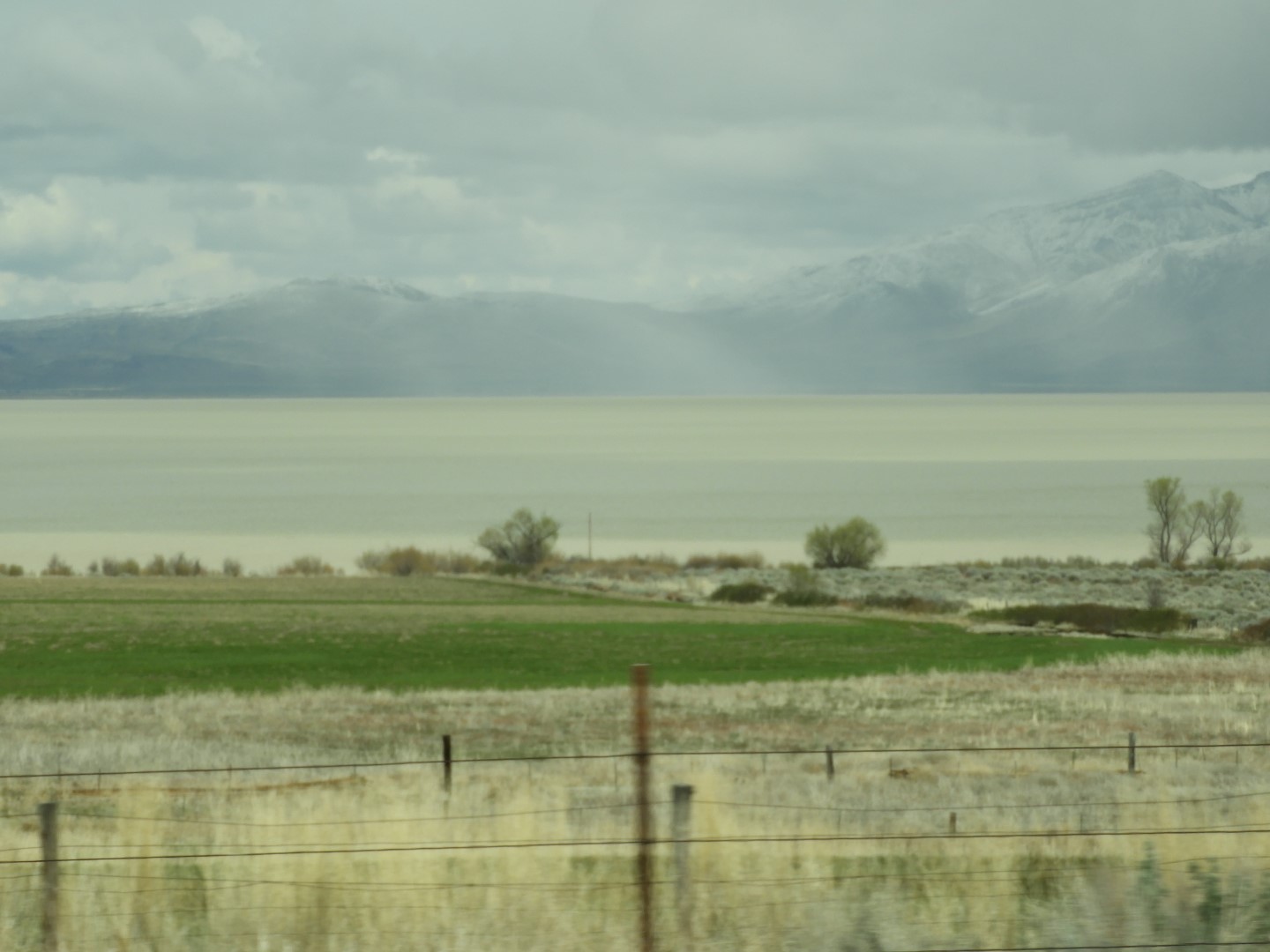 Along highway 95 heading north to Susanville 17 of 28 (#3161)