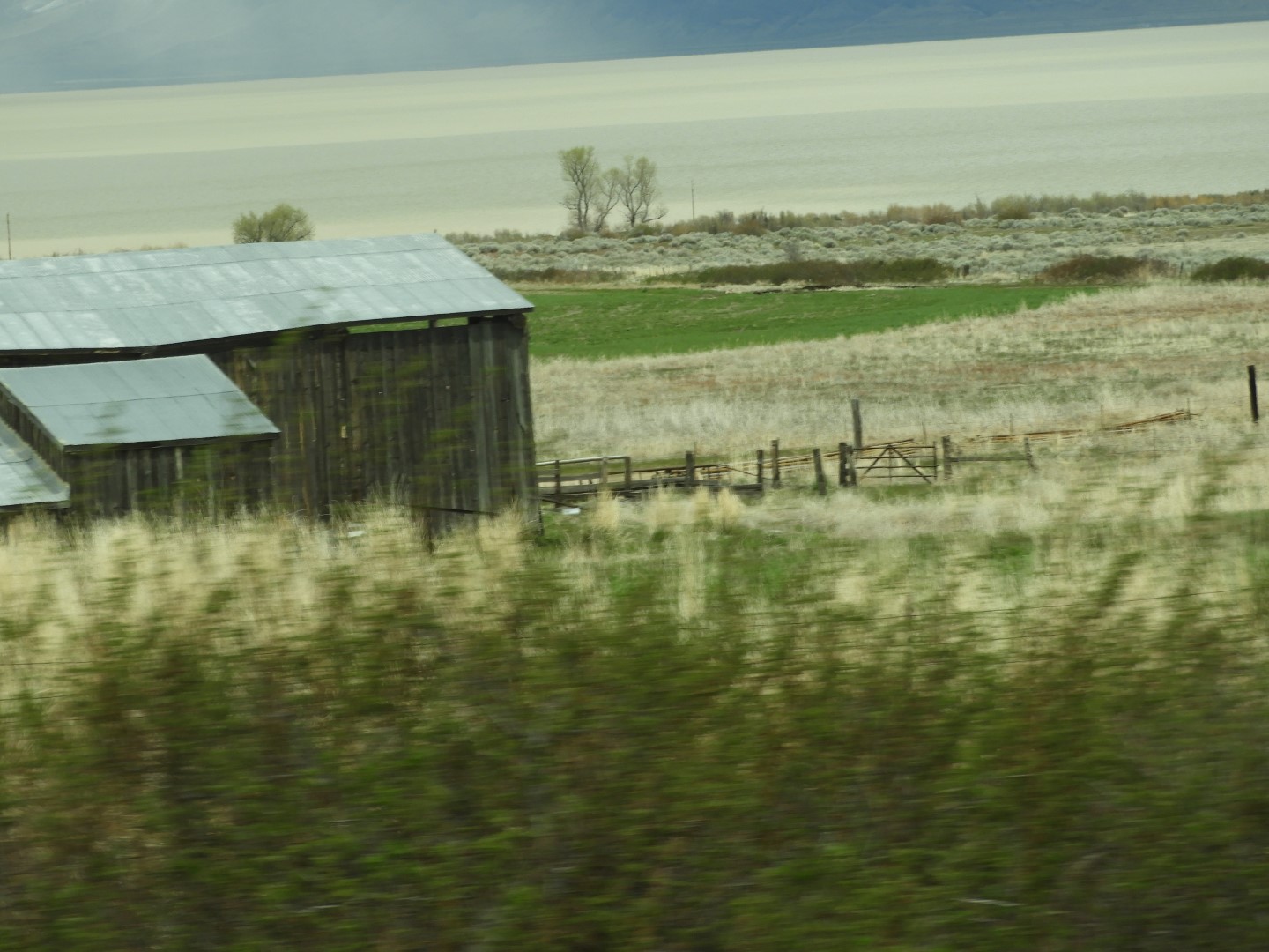 Along highway 95 heading north to Susanville 19 of 28 (#3163)