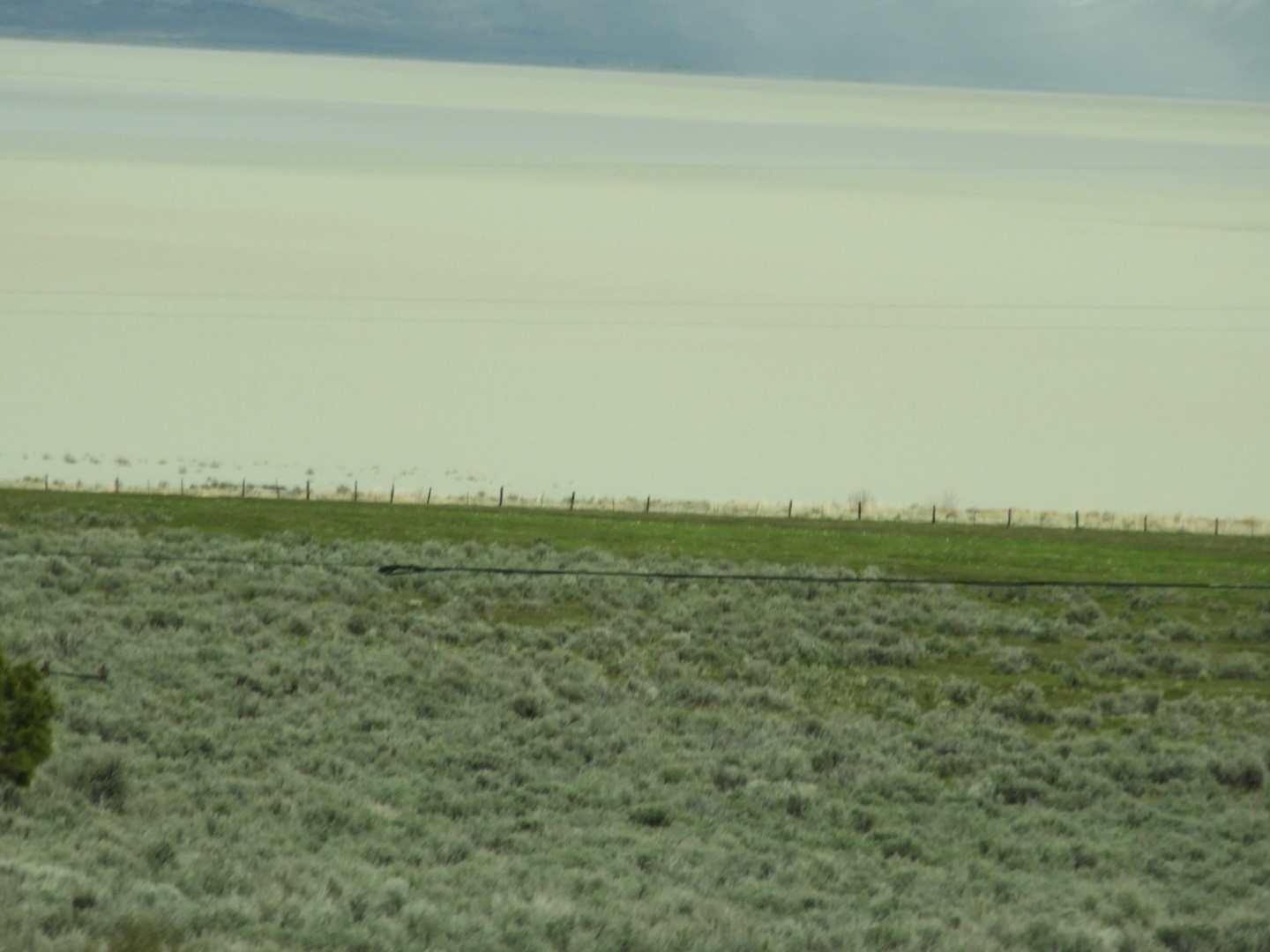 Along highway 95 heading north to Susanville 20 of 28 (#3164)