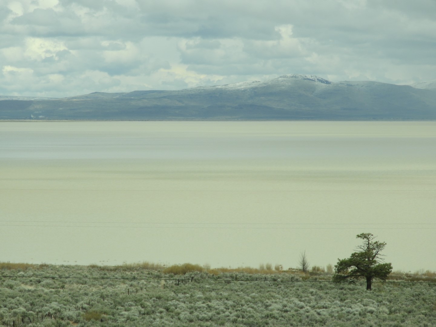Along highway 95 heading north to Susanville 26 of 28 (#3170)